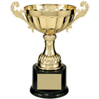 Trophée en métal de grande taille fait main pour les champions sportifs d'assurance, avec logo et emballage personnalisés