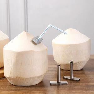 Abridor de cocos de acero inoxidable, perforador rápido para cocos frescos, insertador de pajitas, herramienta específica para cocos, solo lavar a mano - Product Image 2