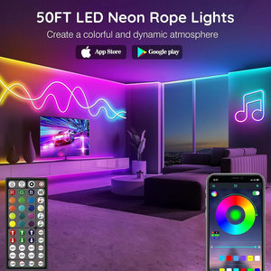 Bande LED Néon Flexible RGB 12V 6x12mm IP65 Étanche PVC Rouleau de 5m Télécommande Dimmable Coupable pour Jardin et Aménagement Paysager - Product Image 4