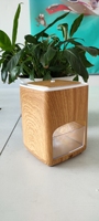 Lampe de sel de l'Himalaya 2022, grain de bois, sculptée à la main, sel naturel thérapeutique, lampes en cristal de roche, humidificateur à brume fraîche, hôtel, maison