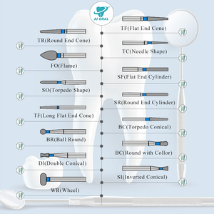 Juego <span class=keywords><strong>de</strong></span> 10 fresas <span class=keywords><strong>de</strong></span> <span class=keywords><strong>diamante</strong></span> FG <span class=keywords><strong>de</strong></span> alta velocidad para ortodoncia profesional, para <span class=keywords><strong>tratamiento</strong></span> <span class=keywords><strong>de</strong></span> pulido y rectificado con pieza <span class=keywords><strong>de</strong></span> mano - Product Image 6