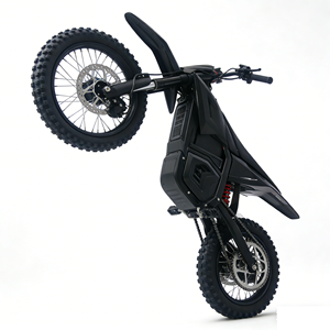 Motocicleta Eléctrica Todoterreno BEYAAN D3PRO de Alta Velocidad, 60V 6000, Tamaño Completo para Adultos, Motocicleta Eléctrica de Cross, Venta al por Mayor de Fábrica - Product Image 1