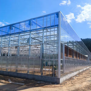 Высокое качество, коммерческая низкая стоимость, закаленное стекло, тоннель, томатная Большая теплица для сельского хозяйства - Product Image 2