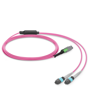 Cable de Conexión MMC de 16 Fibras OM4 Plenum OFNP MMC-16 APC Hembra a 2 X MTP-8 UPC Hembra