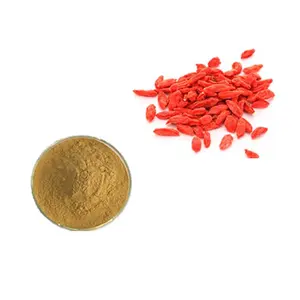 Factory Supply Pure Natural Goji Berry Extract Powder