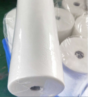 Rouleau de papier pour table de massage Rouleau de papier d'examen Rouleau de drap de lit hygiénique en PP non tissé Rouleau anti-acariens et anti-déchirure