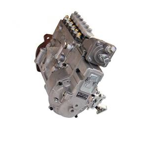 BH6P110 P10Z002 BP5676 100215197 Bomba de inyección de motor diésel de repuestos de cargador de China - Product Image 3