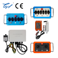 Télécommande haute performance 433 Hz pour grue sur chenilles tout-terrain Vinc Uzaktan Kumanda avec anti-parasitage