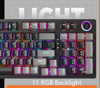 Interruptores Macro Retro RGB, Interruptores para Tablet con Retroiluminación de Arcoíris para Juegos en Windows e iOS, Interruptores para PC, Teclado Mecánico Transparente para Gamers