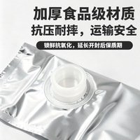 Sac aseptique Bag-in-Box avec couvercle PETPAvmpetPE, valve pour liquides, résistant au gel, anti-fuite, anti-écrasement, pour emballage alimentaire
