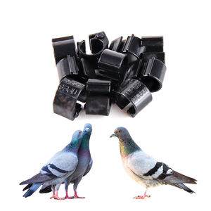 100 Uds <span class=keywords><strong>ID</strong></span> 8mm paloma duradera tobillera paloma carreras al aire libre entrenamiento pájaro sólido pie anillo - Product Image 4