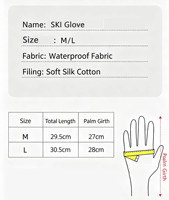 Gants de ski chauds et isolés, compatibles écran tactile, pour snowboard, accessoires de main durables pour l'hiver et l'extérieur, vente en gros