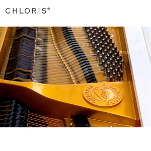 Piano à queue blanc Chloris Germany Hammer Hg-152w Baby – Prix compétitifs - Product Image 6