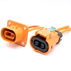 HVIL Plug 2Pin 50A 800V Electric Vehicle HV Connector