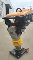 Équipement efficace de pilon de machine de compacteur de bourrage d'essence de haute qualité pour le compactage