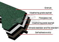 Asiatische grüne Schindel des Mosaiks