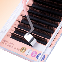 DAMMAN Extensions de cils 5D effet naturel 0.07 D Mix 8-15 Russian Lashes Premade Fans Faux cils pour professionnels