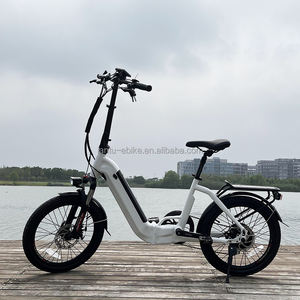 <span class=keywords><strong>Vélo</strong></span> <span class=keywords><strong>pliant</strong></span> de 20 pouces, batterie cachée portable 48v, <span class=keywords><strong>vélo</strong></span> <span class=keywords><strong>électrique</strong></span> de banlieue pour femmes - Product Image 6