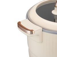 Nouvelle arrivée : Cuiseur électrique multifonction 1,2 L avec minuterie numérique et cuisson à micro-pression pour riz