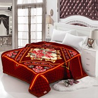 Couverture de lit en polyester super douce et luxueuse, multi-tailles, style coréen, en peluche épaisse et chaude, imprimée, en raschel, personnalisable, pour une utilisation toute l'année
