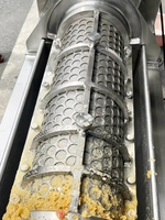 Industriële roestvrijstalen sapcentrifuge met hoge productiviteit voor ananas, sinaasappel en citroen, schroefpers voor fruitverwerking
