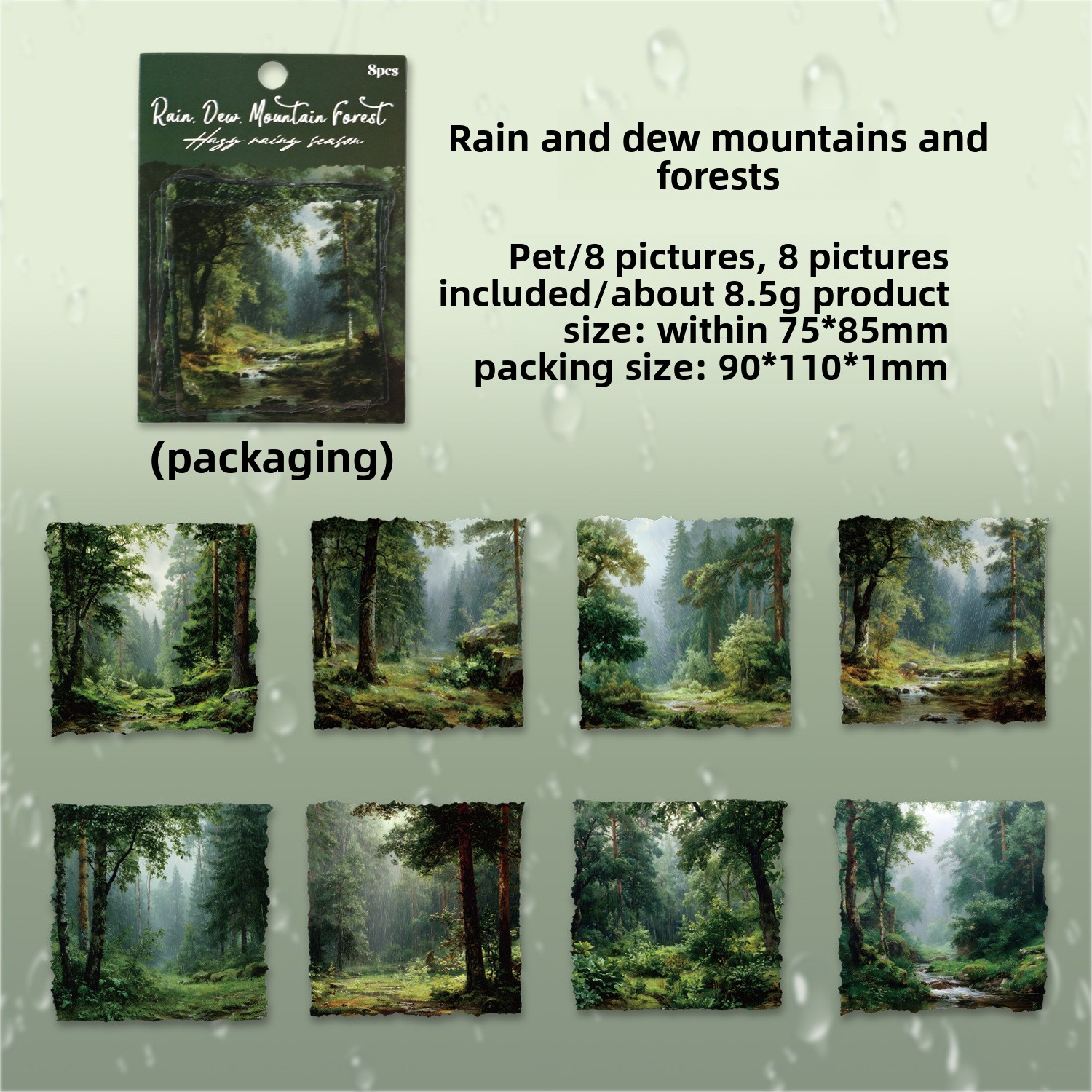 F Forêt trempée par la pluie
