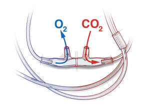 Prix d'usine Consommables médicaux Canule à oxygène nasale en PVC pour usage médical - Product Image 5