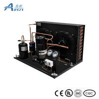 Unité de condensation 3HP Unité de condensation refroidie par air Unité de réfrigération de haute qualité pour chambre froide