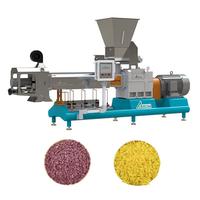 Usine complète et automatisée de traitement de la chapelure de pain, ligne d'extrusion clé en main, acier inoxydable 304, capacité de 200-600 kg/h pour l'alimentation