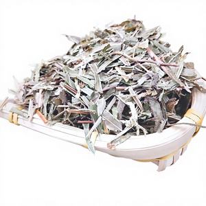 Extracto de Helecho Cola de Fénix en Polvo de Alta Calidad y Alto Contenido 10:1, Polvo Soluble en Agua de Helecho Cola de Fénix, Grado Alimenticio - Product Image 3