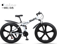 Vélo de route 21/24/27 vitesses, Fat Bike, Vélo de neige, Vélo de course pour adultes, pour étudiants et étudiantes