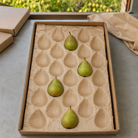 Papieren transportbak voor verse producten met geventileerde celstructuur om schade aan fruit en vochtverlies te verminderen