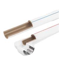 Tuyau PPR extrudé blanc Le Sso, résistant aux hautes températures, pression personnalisée pour eau chaude/froide, norme ISO 2.0 po. OD Industriel