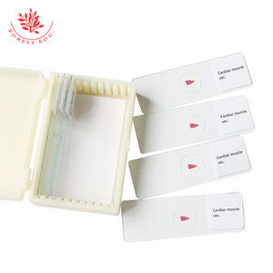 Hochschul bildung Herz muskel der menschlichen Sektion Histologie Folien - Product Image 6