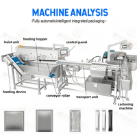 YH Automatische Zähl- und Kartoniermaschine für Beutel in Schachteln, 10 20 50 Stück Beutel/Schachteln/Sticks, Karton-Sortier- und Verpackungsmaschine