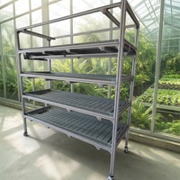 Étagère de serre à hauteur réglable, multi-niveaux, pour semis, hydroponie, pépinière, 6 niveaux, cadre galvanisé, plateau amovible