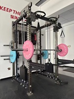 Shandong Home Fitness Machine Equipment Ensemble de gymnastique complet pour l'entraînement sportif Station multifonction pour les bras Triceps Back Exercise