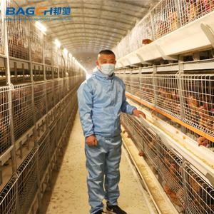 Système automatique de cage pour animaux en acier de type H Nouvelle cage pour poulets de chair pour ferme avicole Équipement pour poulailler d'occasion - Product Image 2