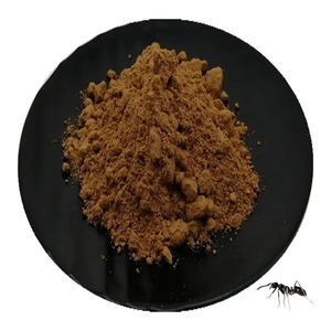 Экстракт черной кохшы (Cimicifuga foetida) в порошке, тритерпеноидные сапонины 2,5%, 5%, <span class=keywords><strong>8%</strong></span> для пищевых добавок - Product Image 4