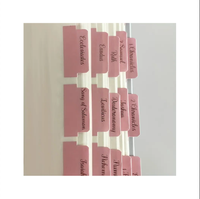 90 onglets de livre d'index biblique au total, 66 onglets bibliques pour l'ancien et le nouveau testament, 24 onglets vierges supplémentaires (rose)