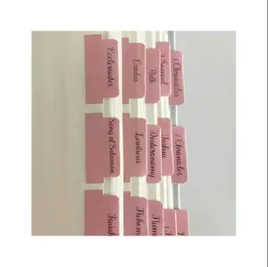 90 Bible Index Book Tabs In Total, 66 Bible Tabs For Old And New Testament, Additional 24 Blank Tabs (Pink)