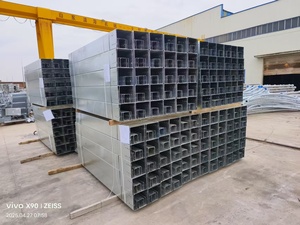 Baki Kabel Tipe Tray Baja Galvanis Celup Panas untuk Konstruksi Industri dengan Bentang Besar dan Pemasangan Kabel - Product Image 3
