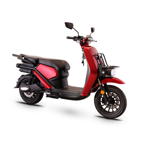 Motocicleta de Carga Pesada Directo de Fábrica, 150 kg 16. Motocicleta Eléctrica con Capacidad de Ascenso y Arranque Remoto - Product Image 3