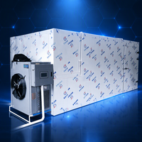 Warmtepomp-fruitdroogmachine met lage elektriciteitskosten voor Afrikaanse verwerking