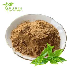 Estratto in Polvere di Foglie di Tè Verde Grado Alimentare Polifenoli Erboristici 98% EGCG 50% Catechine 70% Confezionato Sottovuoto - Product Image 1