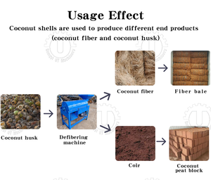 Machines industrielles de défibrage de noix de coco Usine de traitement de fibre de coco à haut rendement à vendre - Product Image 6