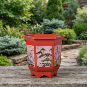 Pot hexagonal haut - Plastique PP durable et écologique - Jardinière pour l'extérieur, la maison et le jardin - Product Image 3