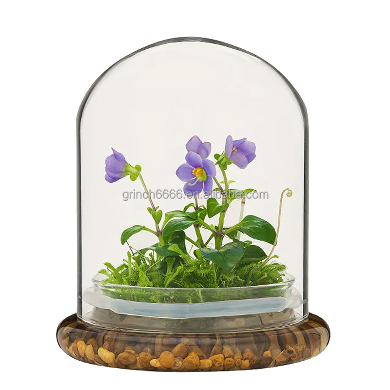 OEM Orchid Terrarium - Thumbnail 2