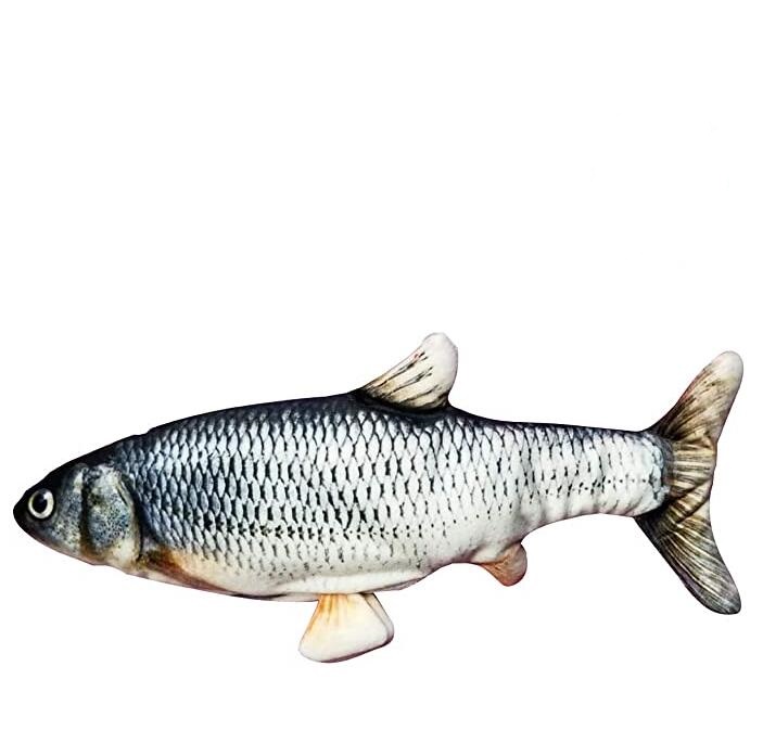 Grossiste B Eacute B Eacute Poisson Chat Acheter Les Meilleurs B Eacute B Eacute Poisson Chat Lots De La Chine B Eacute B Eacute Poisson Chat Grossistes En Ligne Alibaba Com Grossiste B Eacute B Eacute Poisson Chat Acheter Les Meilleurs B Eacute B Eacute Poisson Chat Lots De La Chine B Eacute B Eacute Poisson Chat Grossistes En Ligne Alibaba Com