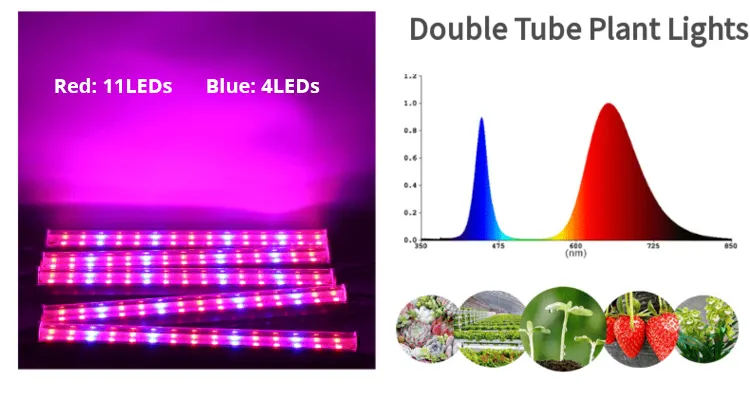 T5 LED Grow Lights lampada da coltivazione per piante a spettro completo blu rosso con barra luminosa per piante da interno 4 dimmerabile per piantine succulente